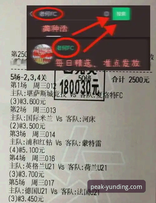 意大利无缘世界杯，赛事深度评测与平台体验分析